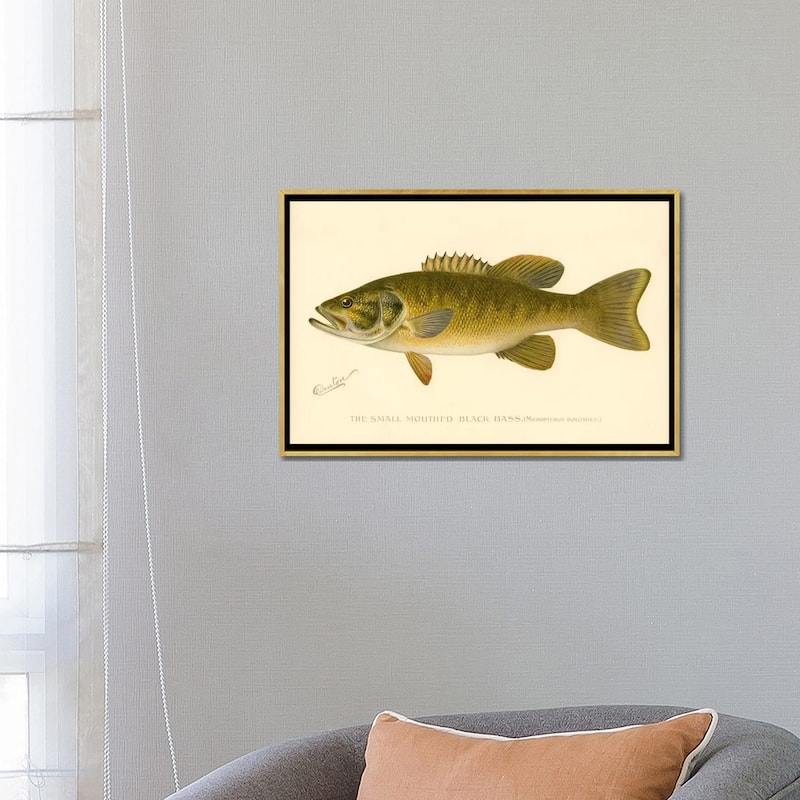 iCanvas "Small Mouthed Black Bass" by Print Collection Framed Canvas Print