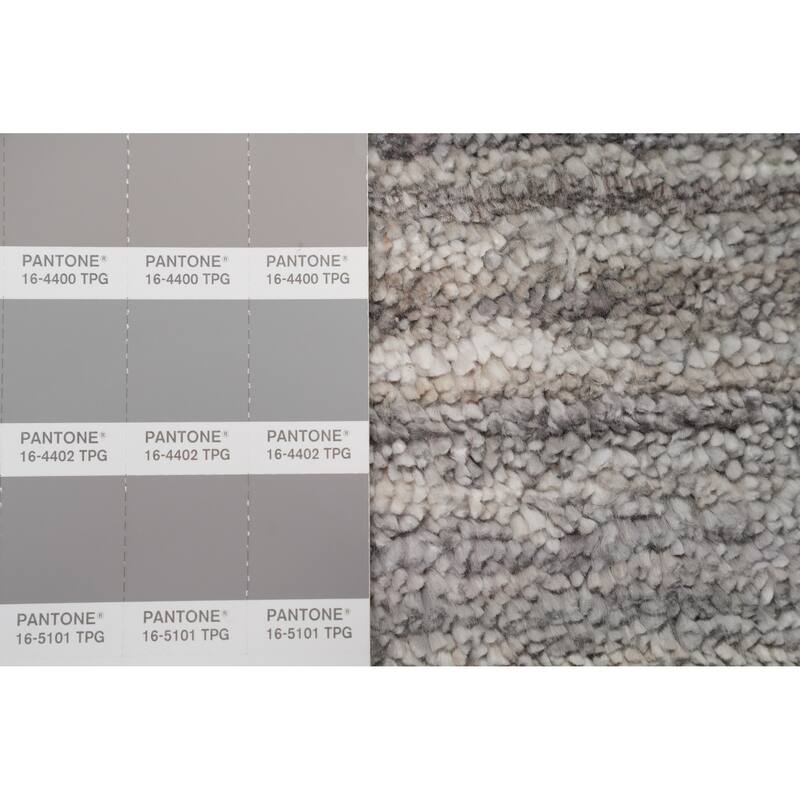 Hand Knotted Oriental Viscose Silk Carpet Tribal Animal Pictorial Greys & Charcoal Gabbeh Area Rug - 11' 8'' X 5' 0''