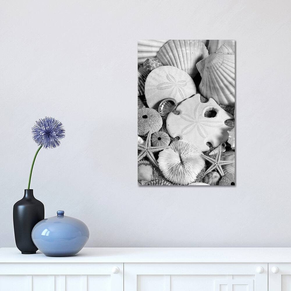 iCanvas "1980s Assortment Of Seashells Sand Dollars Coral And Starfish On Sand" by Vintage Images Canvas Print