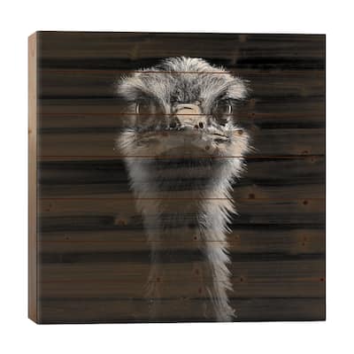 Ostrich In Black & White Print On Wood by Lukas Holas - Multi-Color