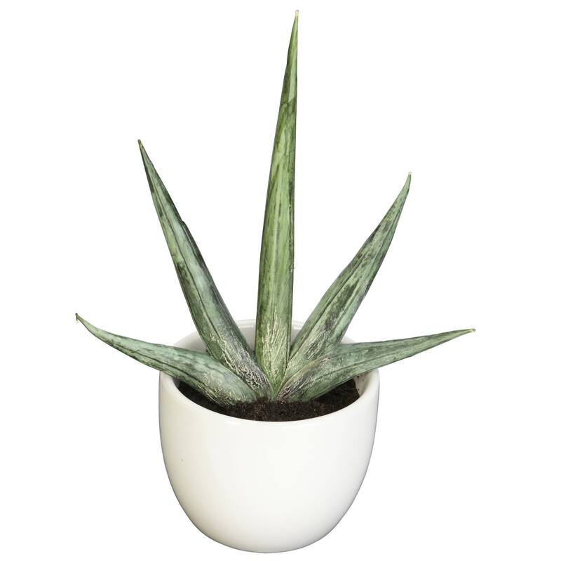 Decorative Agave Plant Set of 3 Modern Home Decor Living Room, Office, Tabletop Plants - 0.71ft.