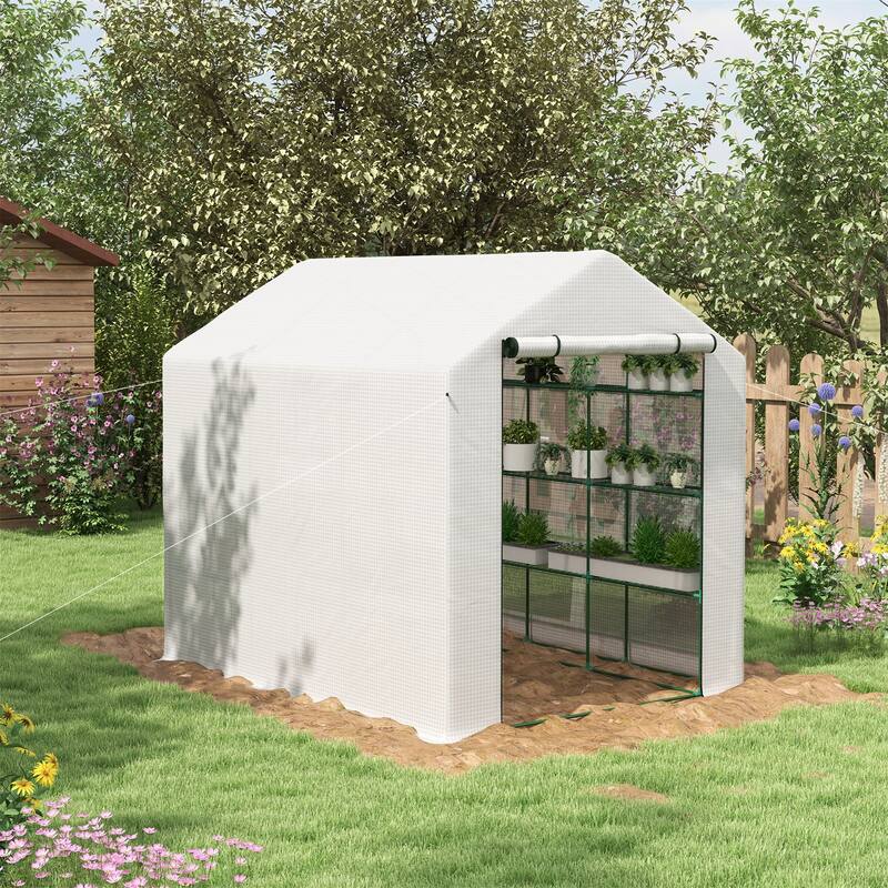 Walk-in Greenhouse for Outdoors with Roll-up Zipper Door
