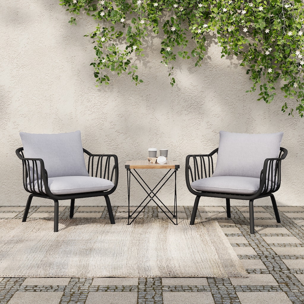 Carli Modern Indoor/Outdoor Club Chairs with Cushions (Set of 2) by Christopher Knight Home