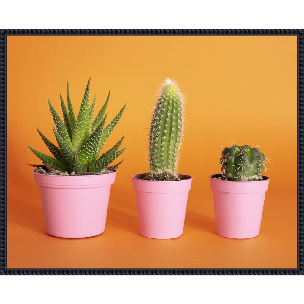 Cactus Trio 2 by Julia Ramiro Framed Canvas Wall Art Print - Sylvie Beaded Black