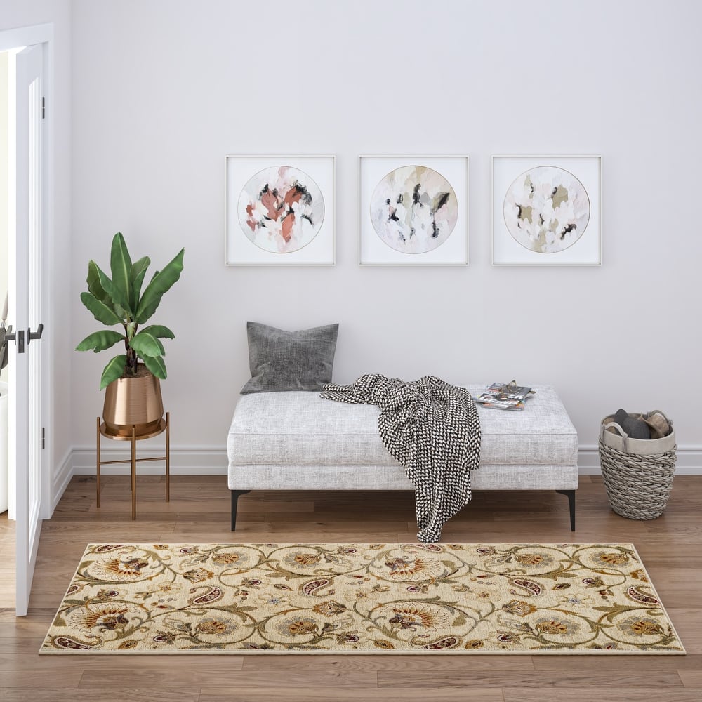 Infinity Transitional Floral Indoor Area Rug