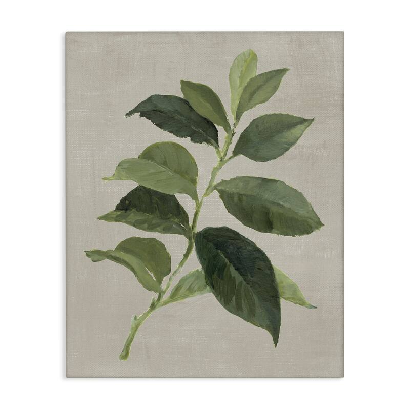 Stupell Arabica Coffee Plant Leaf Canvas Wall Art Design By Lanie Loreth - 16 x 20