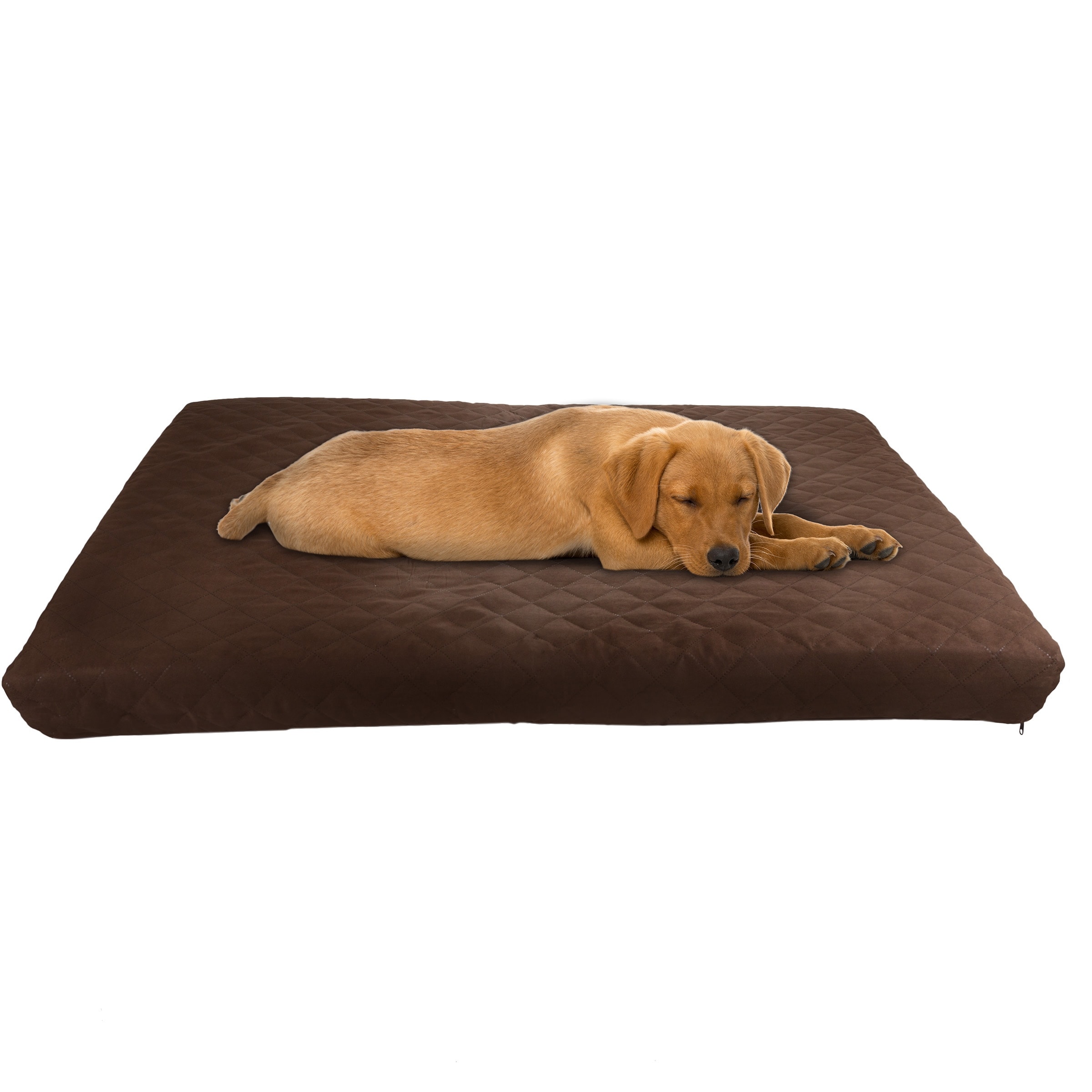 Pet Beds Bed Bath Beyond