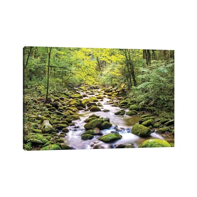 iCanvas "Creek Running Through Roaring Fork In Smoky Mountains" by Susan Schmitz Canvas Print