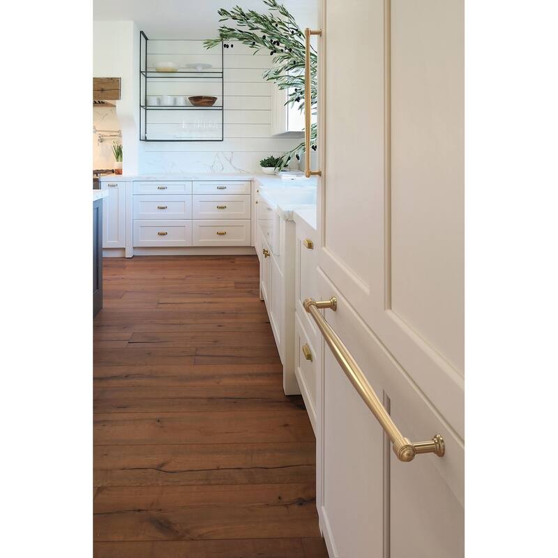 Amerock BP37730 Enlivity 18" Center to Center Appliance Pull