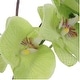 preview thumbnail 2 of 1, Uttermost 60199 Valdive 38" Tall Glass Faux Flora Planter