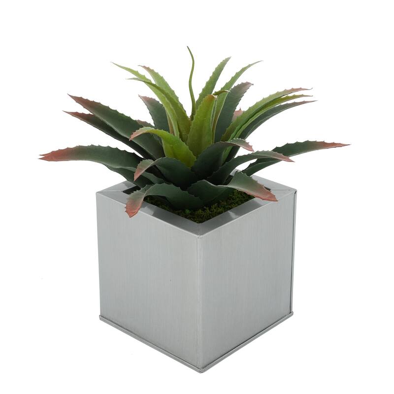 Faux Star Succulent in Square Zinc Planter - Silver