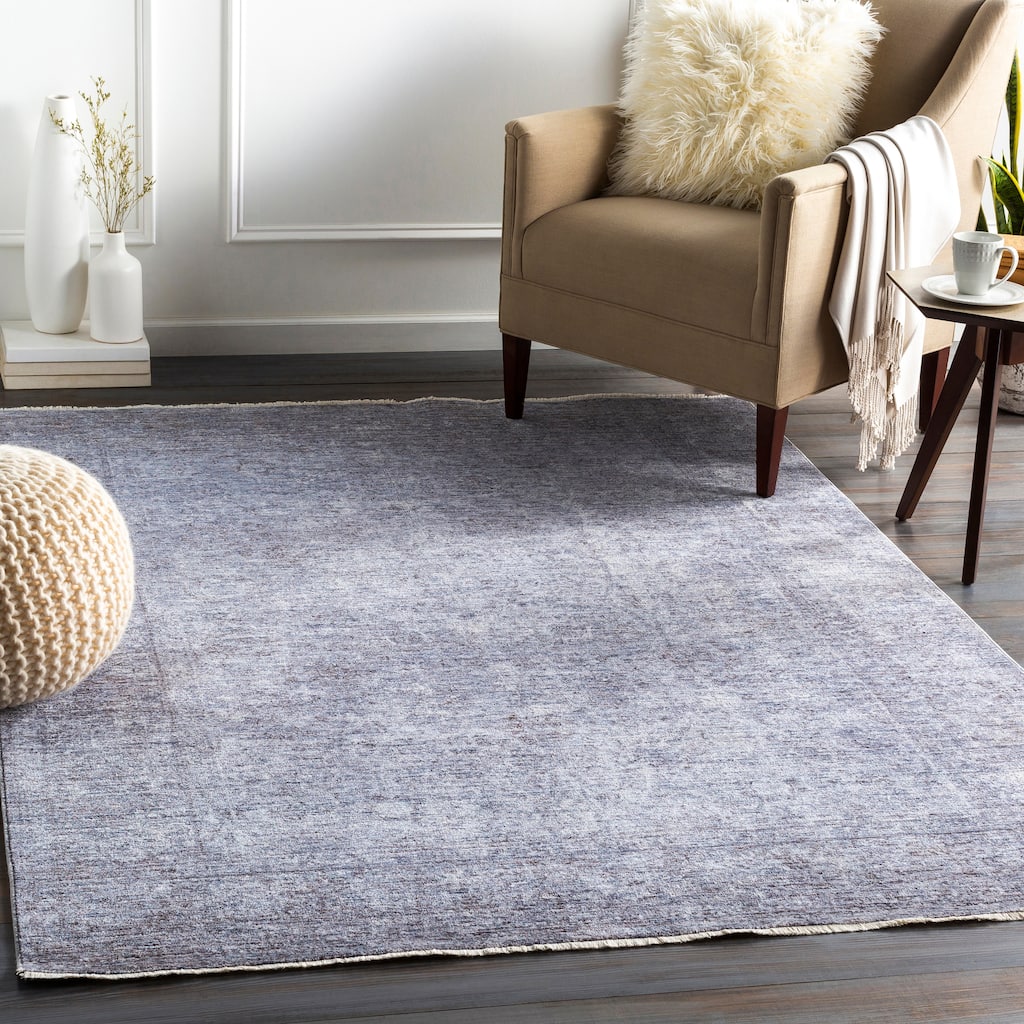 Artistic Weavers Kerim Transitional Area Rug