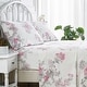 preview thumbnail 15 of 44, Printed Prewashed Cotton Blue Collection (Individual Set Sell Separately) Pink Big Floral Sheet Set - California King - 4 Piece