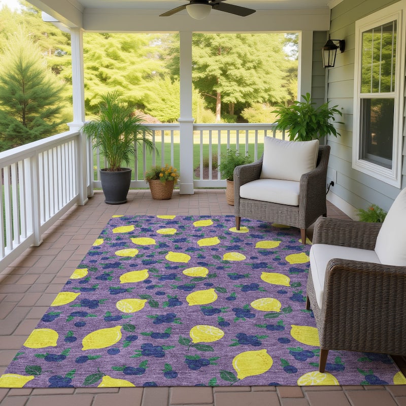 Machine Washable Indoor/ Outdoor Citrus Berry Chantille Rug