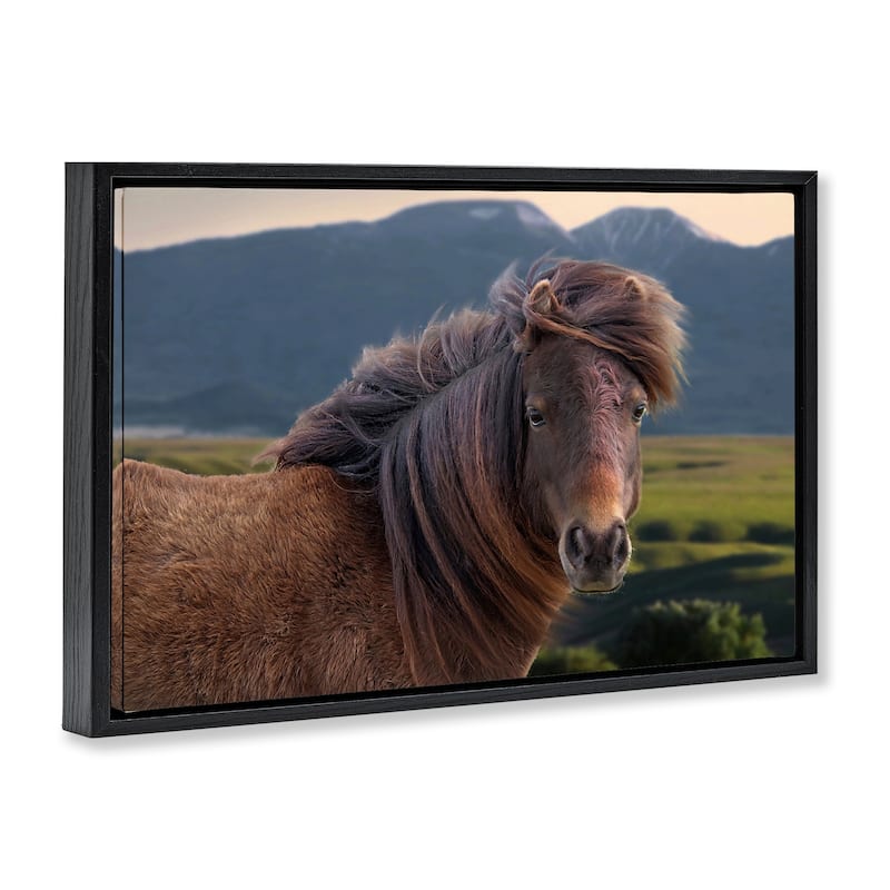 Stupell Windblown Mare in Mountain Valley Framed Floater Canvas Wall Art Design By Steve Toole