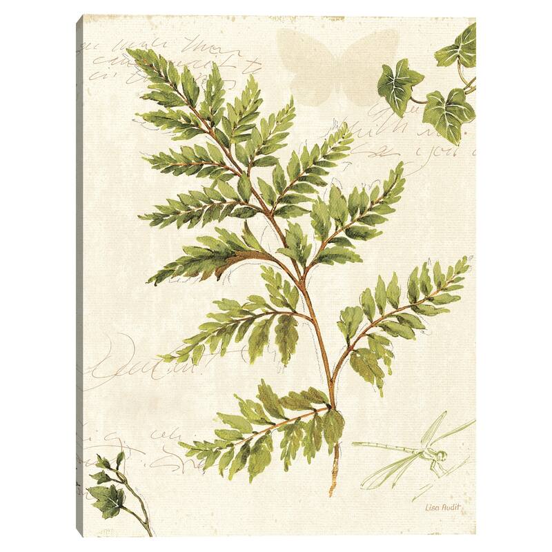 Ivies and Ferns I Canvas Art Print