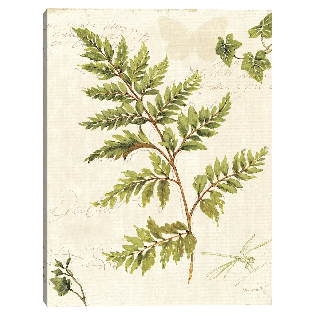 Ivies and Ferns I Canvas Art Print