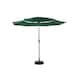 Option Dark Green