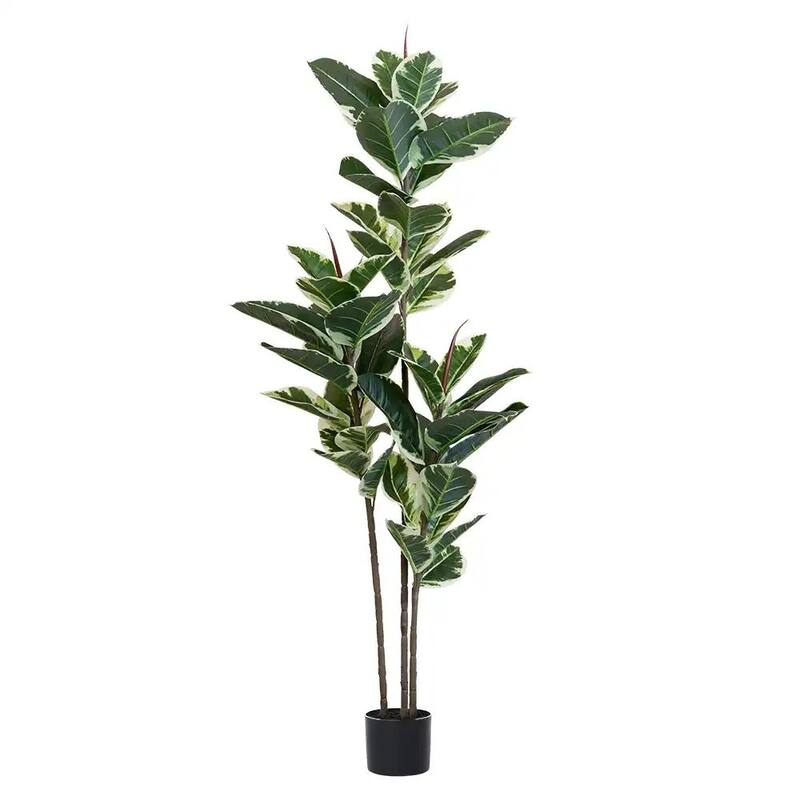 HomeRoots 63" Green Artificial Rubber Tree in a Black Pot - 6.69 in. x 62.99 in. x 6.69 in.