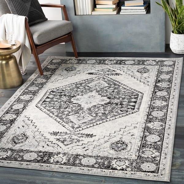 The Curated Nomad Lexing Vintage Persian Medallion Area Rug Overstock