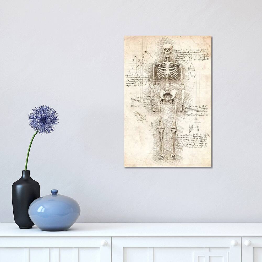 iCanvas "Human Skeleton" by Cornel Vlad Canvas Print