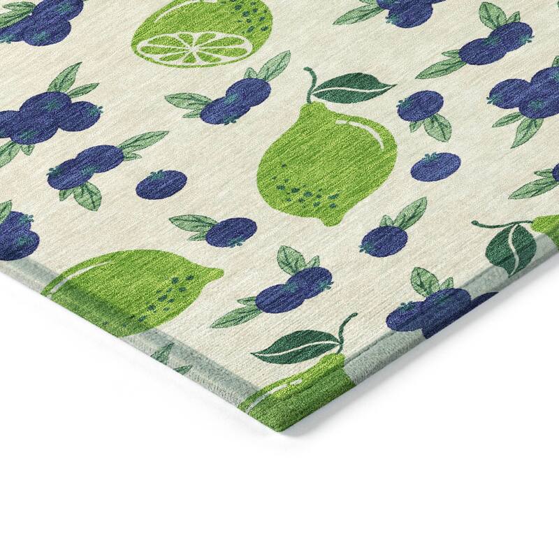 Machine Washable Indoor/ Outdoor Citrus Berry Chantille Rug