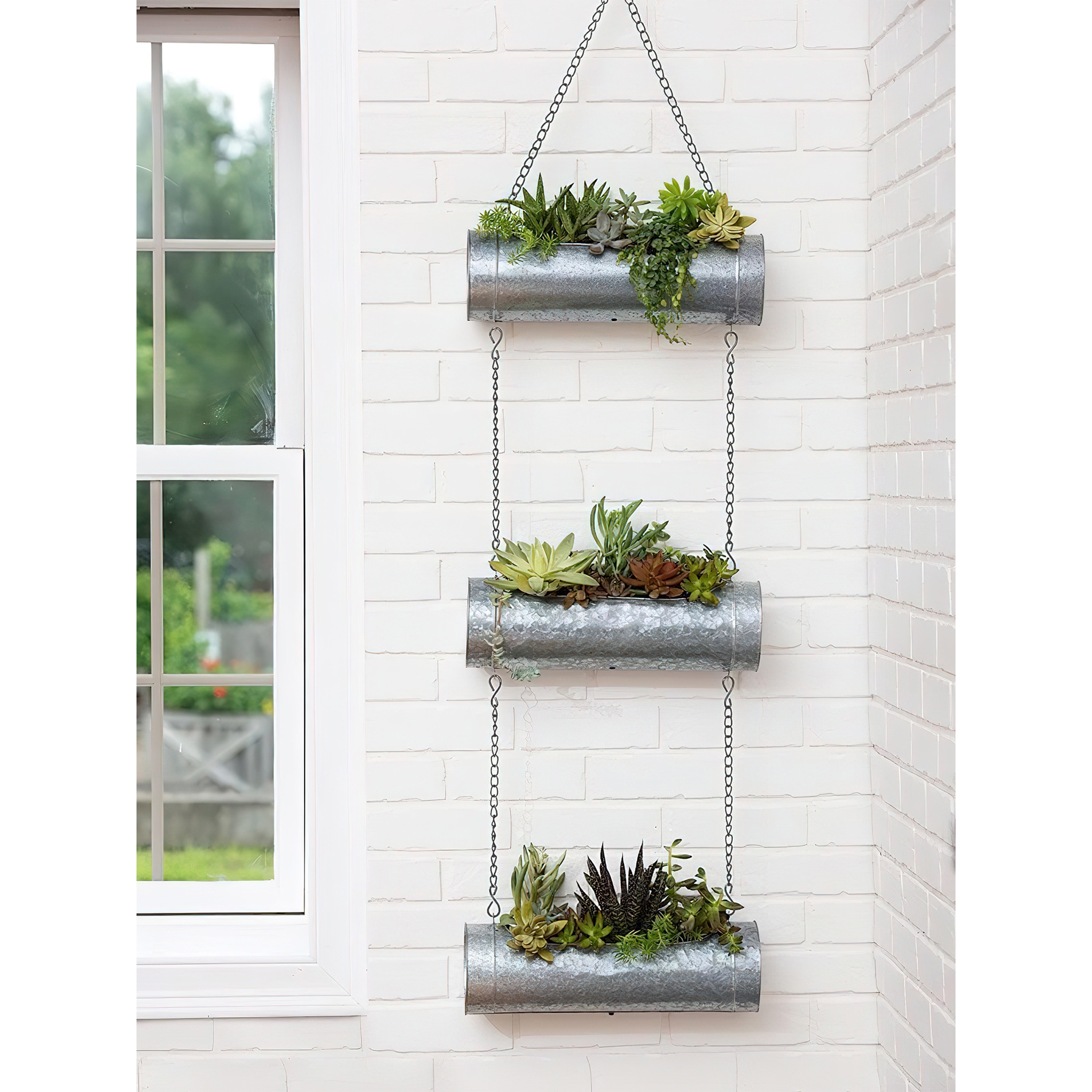 pearl and jade pothos Pearls and Jade Pothos main image 0