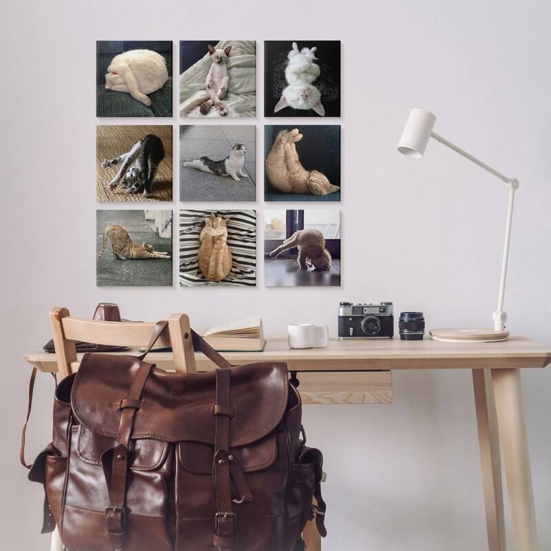 Stupell Cat Yoga Stretching Poses Animal Life Pet Humor 9 Piece Canvas Wall Art Set Design By R. Nob