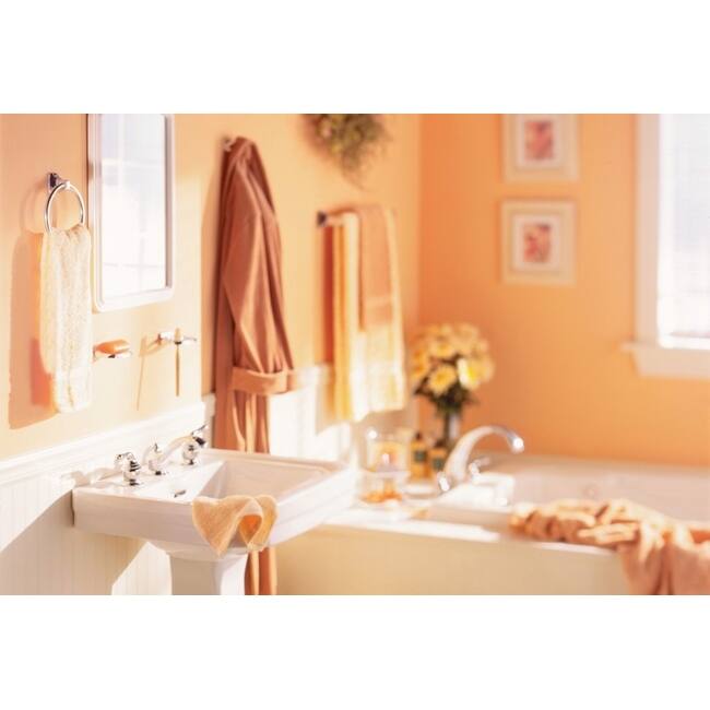 Moen Contemporary Double Robe Hook