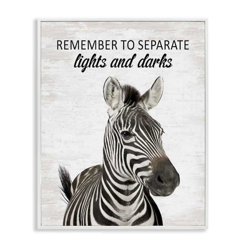 Stupell Remember To Separate Laundry Framed Giclee Art Design By Lettered and Lined - 16 x 20 - White