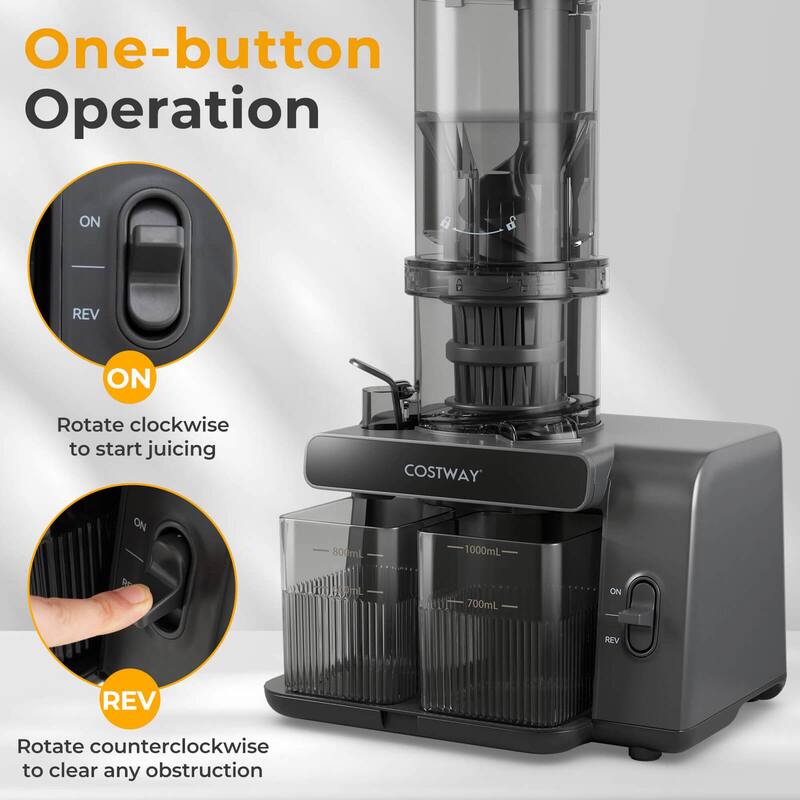 Costway Cold Press Juicer Machine Professional Slow Masticating Juicer - See Details