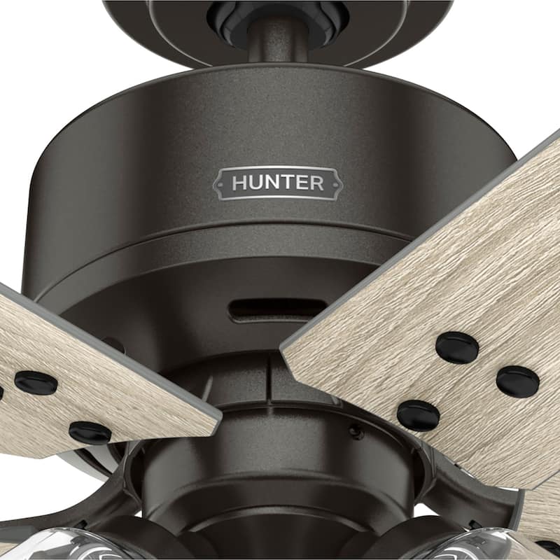 Hunter 44" Sencillo Ceiling Fan with LED Light Kit and Pull Chain