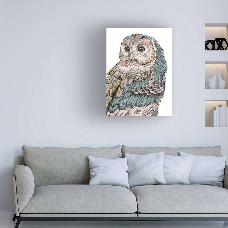 Daphne Brissonnet 'Beautiful Owls I Pastel' Canvas Art