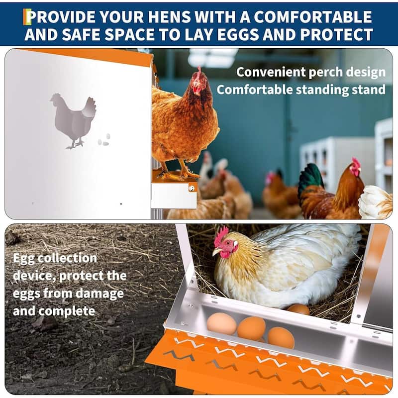 10 Compartment Metal Chicken Nesting Box, Laying Box for Hens Ducks Rabbits, Orange
