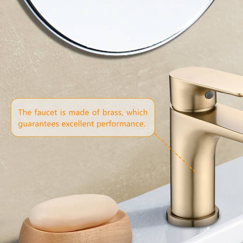 Topcraft Single Handle Stainless Steel Bathroom Sink Faucet