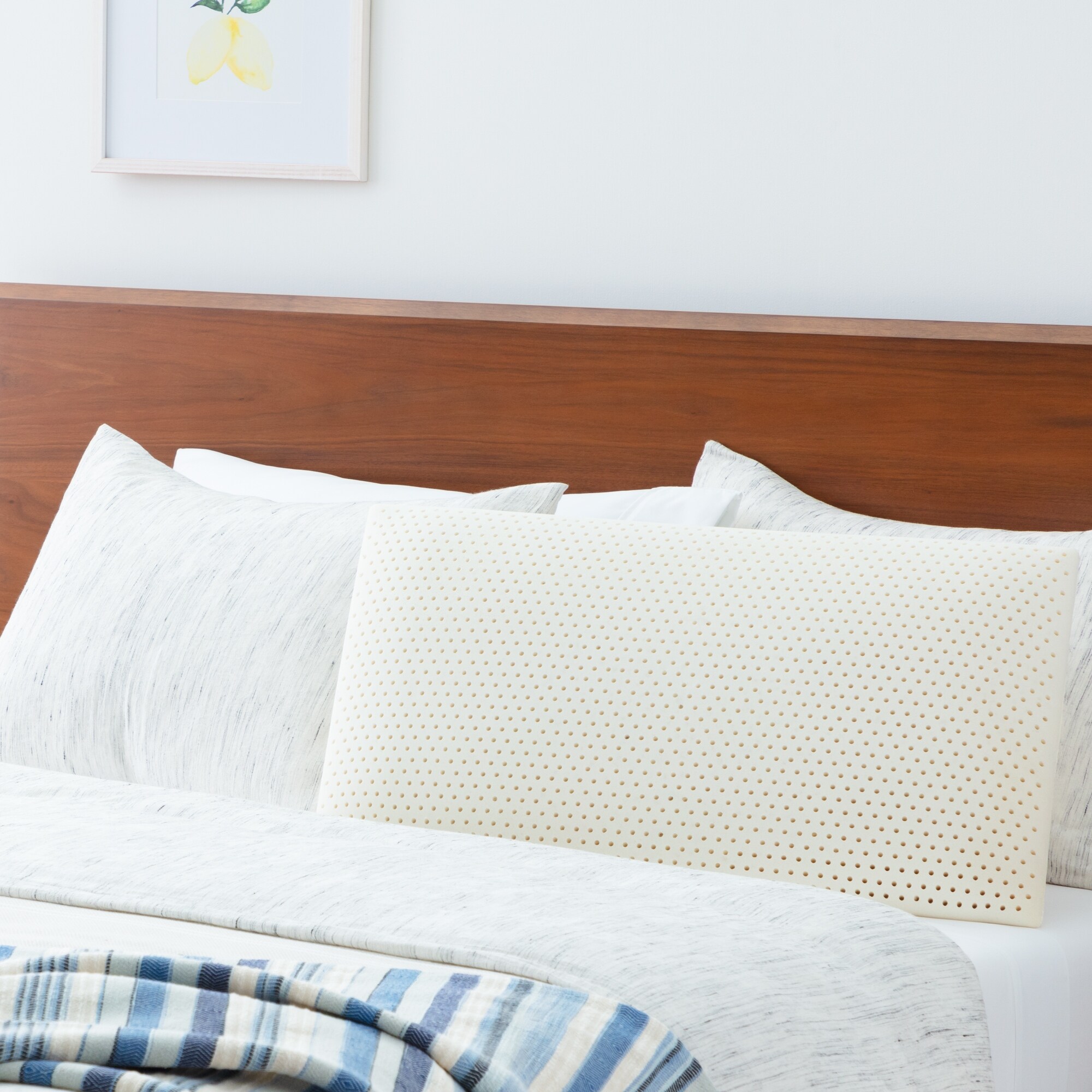 Natural latex pillow bed shop bath and beyond
