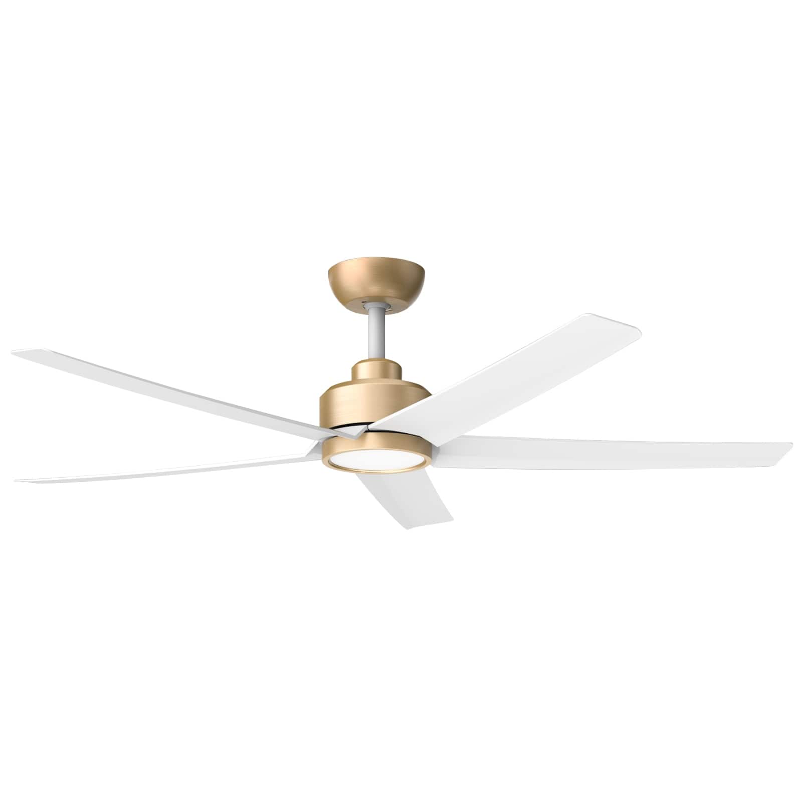 Option Gold-White(Remote control only)