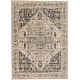 preview thumbnail 1 of 6, Huron Modern Abstract Rug, Charcoal/Natural Tan, Area Rug 4'-11" x 7'-8" - Natural Tan