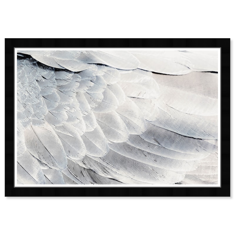 Wynwood Studio Prints Animals Dove Back White and Modern & Contemporary Wall Art Canvas Print
