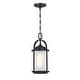 preview thumbnail 7 of 7, Westinghouse Grandview One-Light Outdoor Pendant - 1-Light