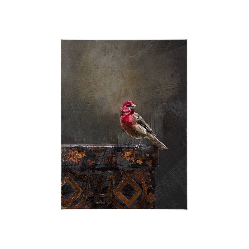 Graceful Poise I (House Finch)(30 x 40) Canvas Art Print - Small