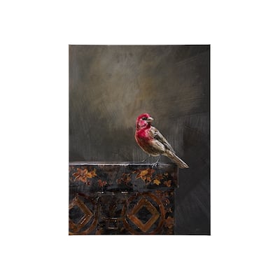 Graceful Poise I (House Finch)(30 x 40) Canvas Art Print
