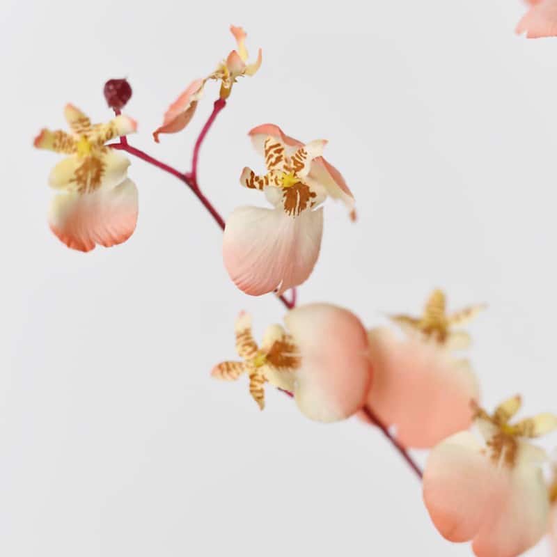 Coral Pink Silk Decorative Artificial Dancing Lady Orchid Faux Flowers(Pack of 1 Branch)
