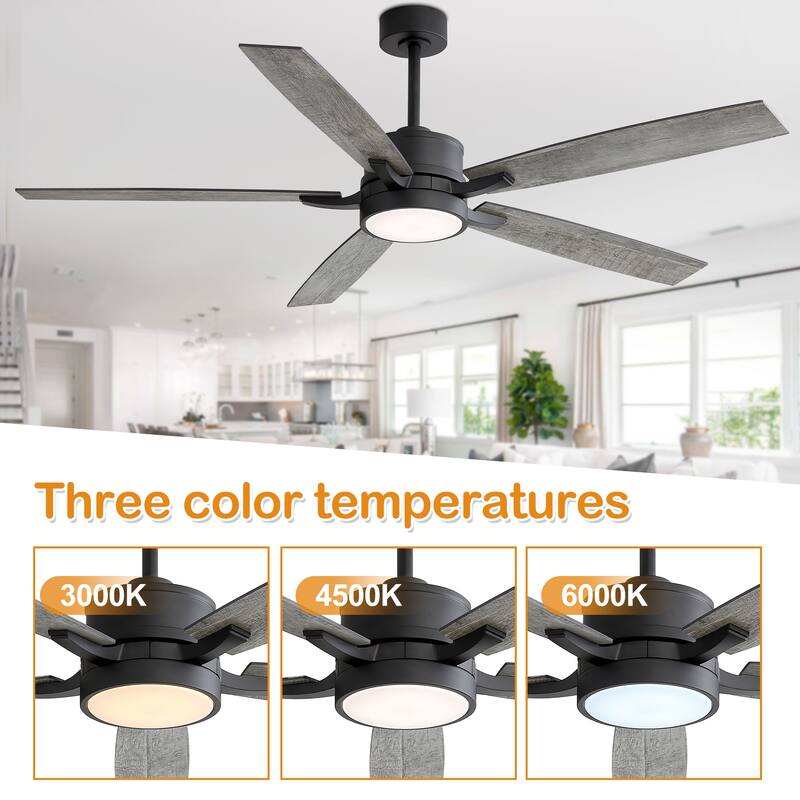 65 Inch Black LED Ceiling Fan with Light and Remote(5-Blade)