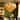 16 in. Amber Glass Chandelier 6-Light Brass Gold Pendant Light with Handmade Glass Shades for Dining Room - 16 IN.