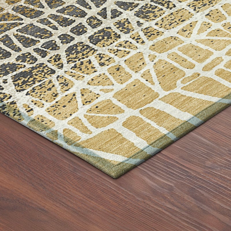 Machine Washable Indoor/ Outdoor Boho Global Chantille Rug