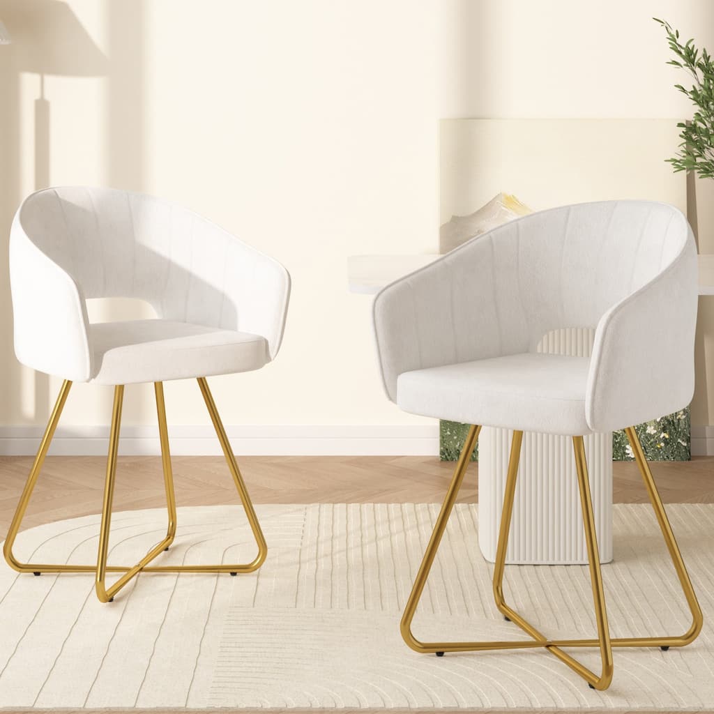 Velvet Modern Accent Chair Vanity Chair Set of 2 Comfy Makeup Chair with Back Upholstered Dining Chairs Leisure Armchair