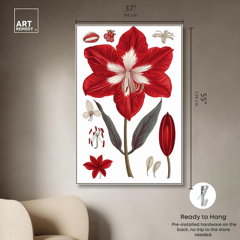 Amaryllis Anatomy Canvas by Art Remedy