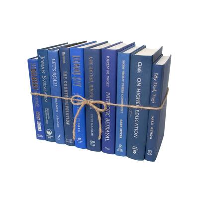 Books Blue Decorative Accessories: Denim & Silver ColorPak