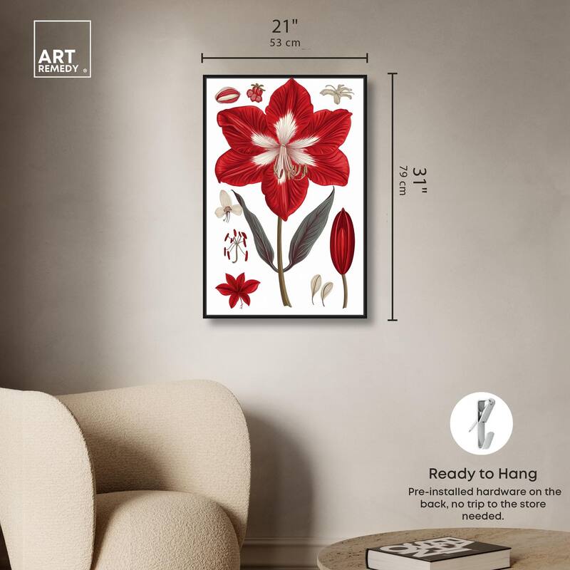Amaryllis Anatomy Canvas by Art Remedy